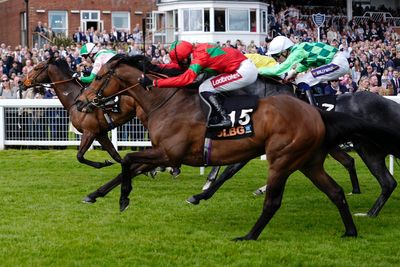 Saturday racing tips: Best bets for Newbury and Newmarket