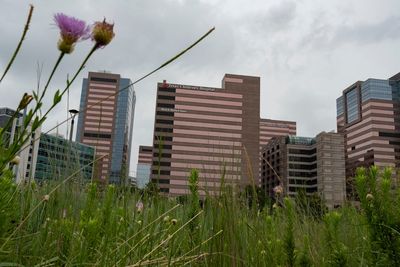 Texas Children’s Hospital must create country’s first “detransition clinic” under legal settlement with state