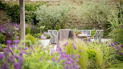 5 Problems Guests Will Always Notice in Your Garden, But That Designers Warn You've Become Blind to, and How to Fix Them