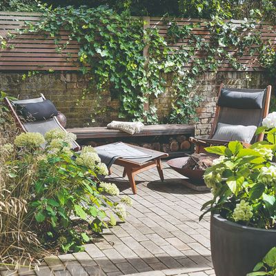 I'm a garden editor with a tiny outdoor space – these genius 'compost blocks' are what I'm using to fill my garden with flowers this summer