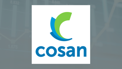 Cosan Q1 Earnings Call Highlights