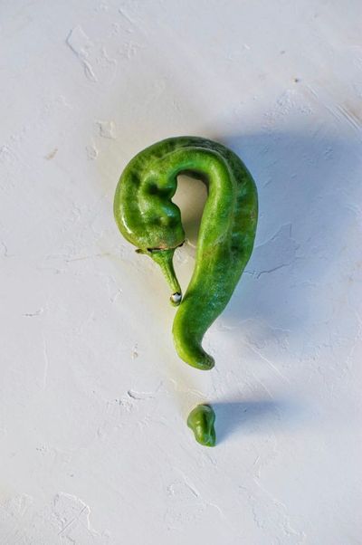 The Beauty of Imperfect Produce How Buying Ugly Food is Saving Families Significant Cash