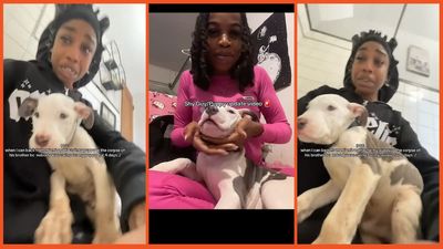 ‘Don’t leave anyone with your pet’: Woman comes back from Miami trip to find the dogsitter had left her pups to die