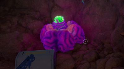 How to get Acidic Raion Pouch in Subnautica 2