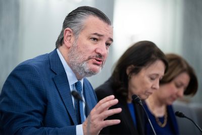 Chatbot bills look to address safety fears as midterms loom