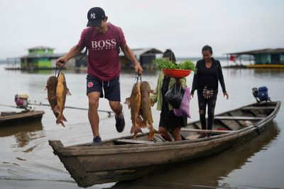 Scientists find climate change is reducing oxygen in rivers worldwide