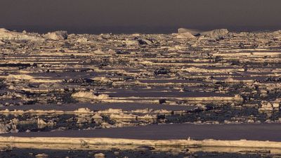 Antarctica’s sudden sea ice loss is one of the most extreme and confusing events in the modern climate record. Scientists now know why it's happening.