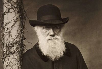 Quote of the day by Charles Darwin: “If I had my life to live over again, I would have made a rule to read some...” — The profound wisdom from the evolution pioneer: Ignoring music, poetry, and beauty can slowly rob the human soul of happiness