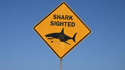 Man killed by shark near popular holiday island