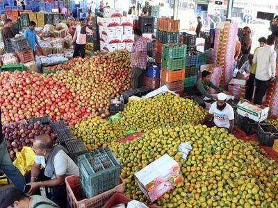 WPI inflation to face further upside as oil and metal prices stay elevated amid geopolitical tensions: Report