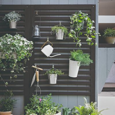Aldi’s clever £23 planter taps into one of this year’s biggest garden trends for small spaces