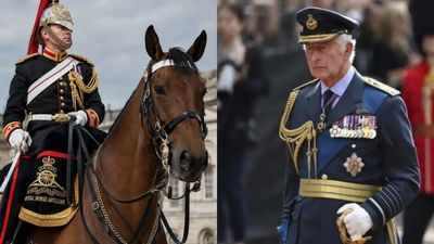 King Charles ‘shocked and saddened’ as soldier dies after falling from horse at Royal Windsor Horse Show