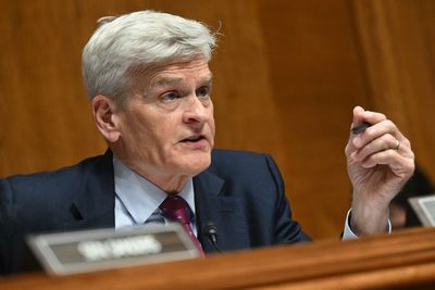 ‘Sleazebag, terrible guy’: Trump rants about Senator Bill Cassidy