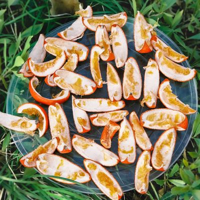 5 genius ways to use orange peel in your garden for natural pest control and healthier plants – these expert-approved tricks are too useful to ignore
