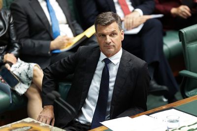 Liberal party ‘corroded by hate’, MP says amid concerns of ‘dog whistling’ on immigration