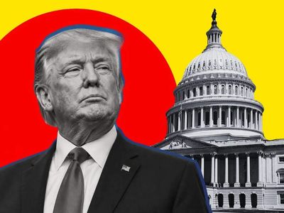 Trump’s more than 3,700 trades astonish Wall Street insider