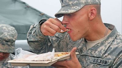 The future of Army rations? US investigates 'alternative protein technologies' to keep soldiers fed in the field — hopefully it will be more appealing than it sounds