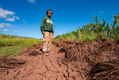 Hawaii’s worst flooding in 20 years leaves farmers struggling and fewer veggies at the market