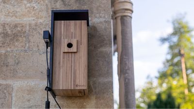 Birdfy Nest Duo review: this two-camera smart bird box is a marvel for wildlife lovers