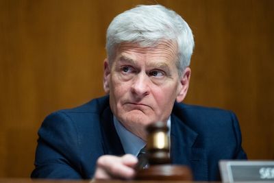 Cassidy loses GOP primary in Louisiana as Trump-backed Letlow, Fleming make runoff