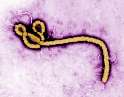 Ebola outbreak declared emergency of international concern: What is it, how does it spread, and is there a vaccine?