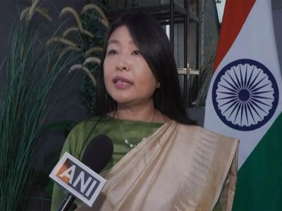 'Huge potential, not fully tapped yet': Indian envoy highlights India-Norway cooperation ahead of PM Modi visit