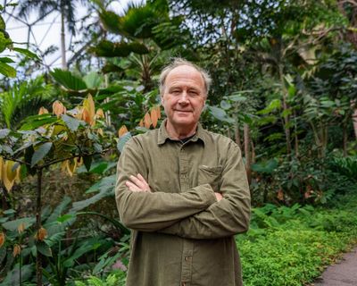 ‘You could dig up a lot of asphalt’: Tim Smit’s Chelsea garden prioritises growing food