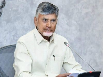 Andhra CM Chandrababu Naidu writes to Centre over shrimp feed price hike, seeks relief for aquaculture farmers