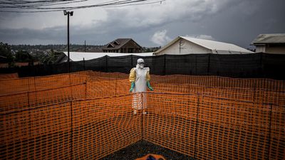 WHO declares Ebola outbreak in DRC a health emergency 'of international concern'