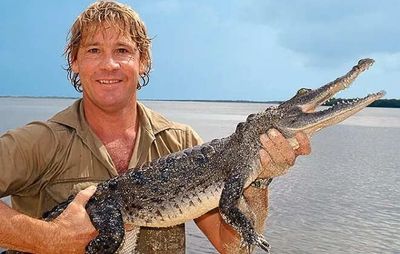 Quote of the day by 'Crocodile Hunter' Steve Irwin: ‘Crocodiles are easy. They try to kill and eat you. People are…’ – A wild lesson in awareness and trust
