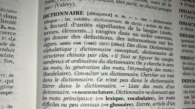 Crush, prompter, charo: new French dictionary adds 150 words