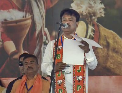 West Bengal committed to handover land to BSF within 45 days for border fencing: Minister