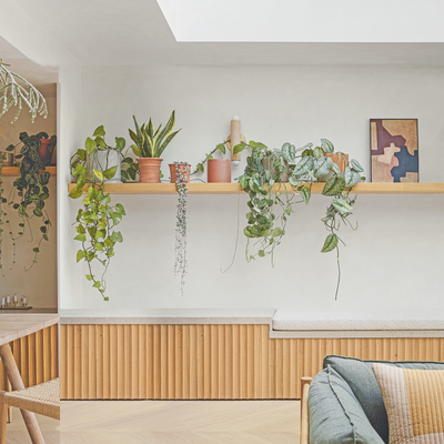 The 'overnighting' trick is how to make your peace lily and spider plants grow healthier and stronger