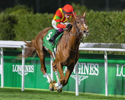 It is not only horses that suffer. Racing has human victims, too