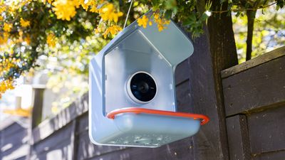 Bird Buddy 2 review: A premium smart camera upgrade with some frustrating flaws