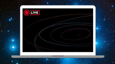 Watch an asteroid the size of a blue whale hurtle towards Earth live online May 18