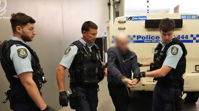 'Stain on society': DV blitz nets hundreds