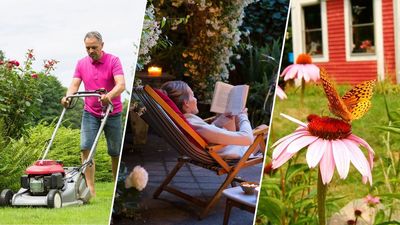 Exclusive: Ask our gardening experts anything! We're running a lawn care and gardening Live Q&A and are taking questions