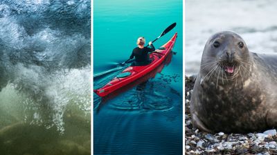 Woman is on kayak. Then she gets approached by something in the water : ‘Just look up what happened to Kirsty Brown’ 