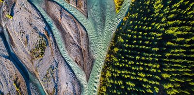 Nature is good for business – and we now have numbers to show it