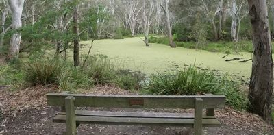 When we took 37 strangers into the urban bush, their loneliness began to ease