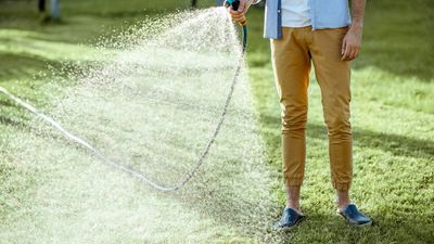 Gardening experts reveal why you should stop watering your lawn every day this summer