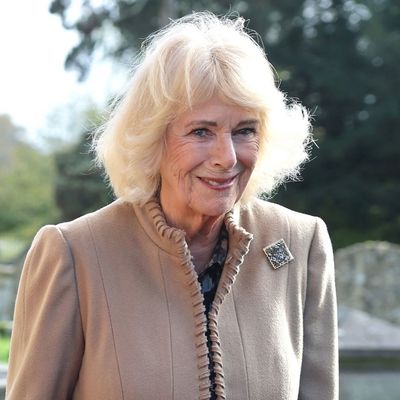 Queen Camilla Has a "Secret Steely Nature" Behind Her "Sweet Smile," Says Royal Expert