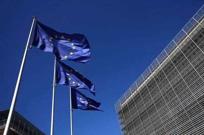 EU to force companies to buy components from non-Chinese suppliers: Report
