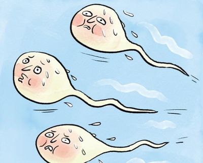 Is it true that … saunas can reduce your sperm count?
