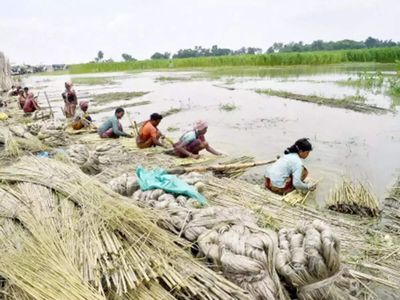 Jute industry seeks new Bengal govt's intervention to tide over raw material crisis