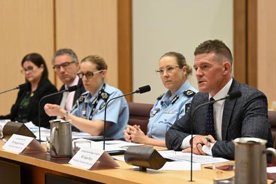 Police running out of room to store illegal cigarettes they’ve seized amid Australia’s booming illicit trade