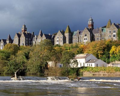 Said the Dead by Doireann Ní Ghríofa review – lost voices from an Irish asylum