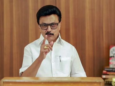 DMK chief M K Stalin slams TVK, says it did no field work and won elections using social media