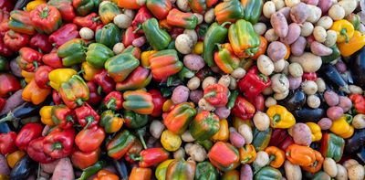 Why European households throw away so much food – and how to curb the waste mountain